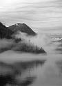 Building Fog
